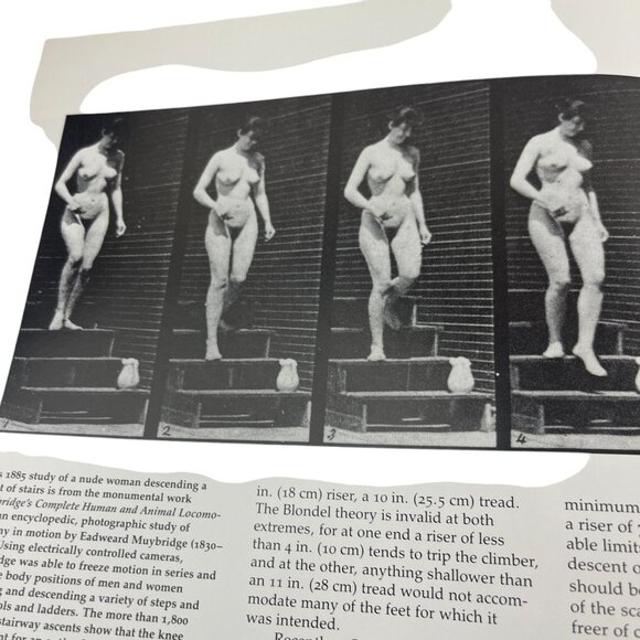 Steps & Stairways By Cleo Baldon & Ib Melchior With Julius Shulman Photography H - Picture 8 of 16